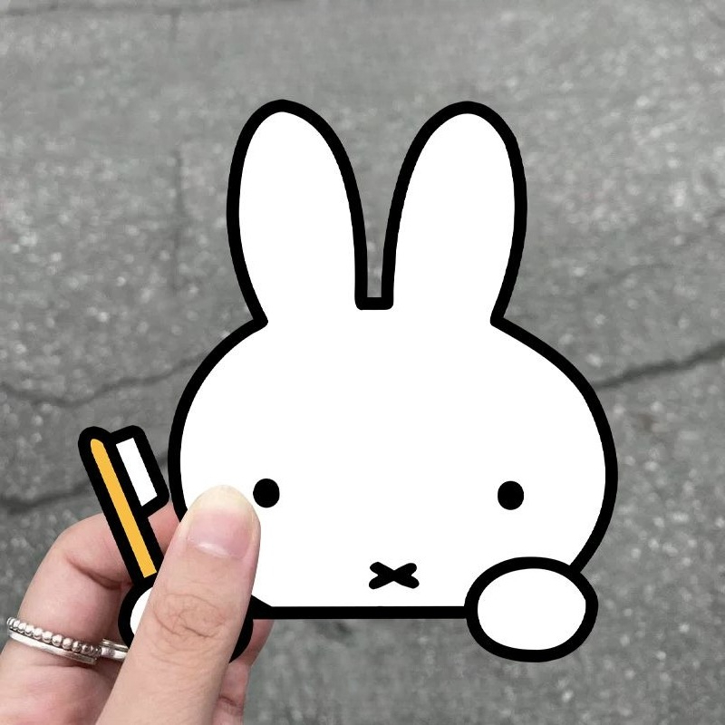 Miffy Rabbit Car Sticker Creat - مراجعة Model Kit Car وسعره