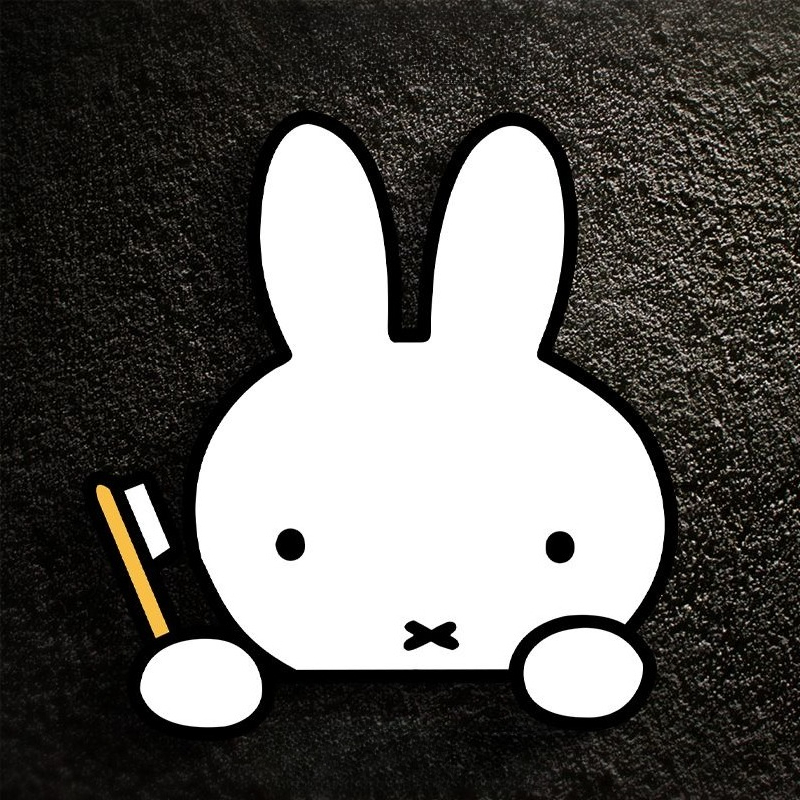 Miffy Rabbit Car Sticker Creat - مراجعة Model Kit Car وسعره
