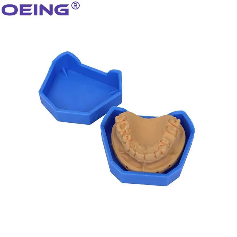 2/6Pcs Dental Model Base Silic - مراجعة Model Kit Tools وسعره