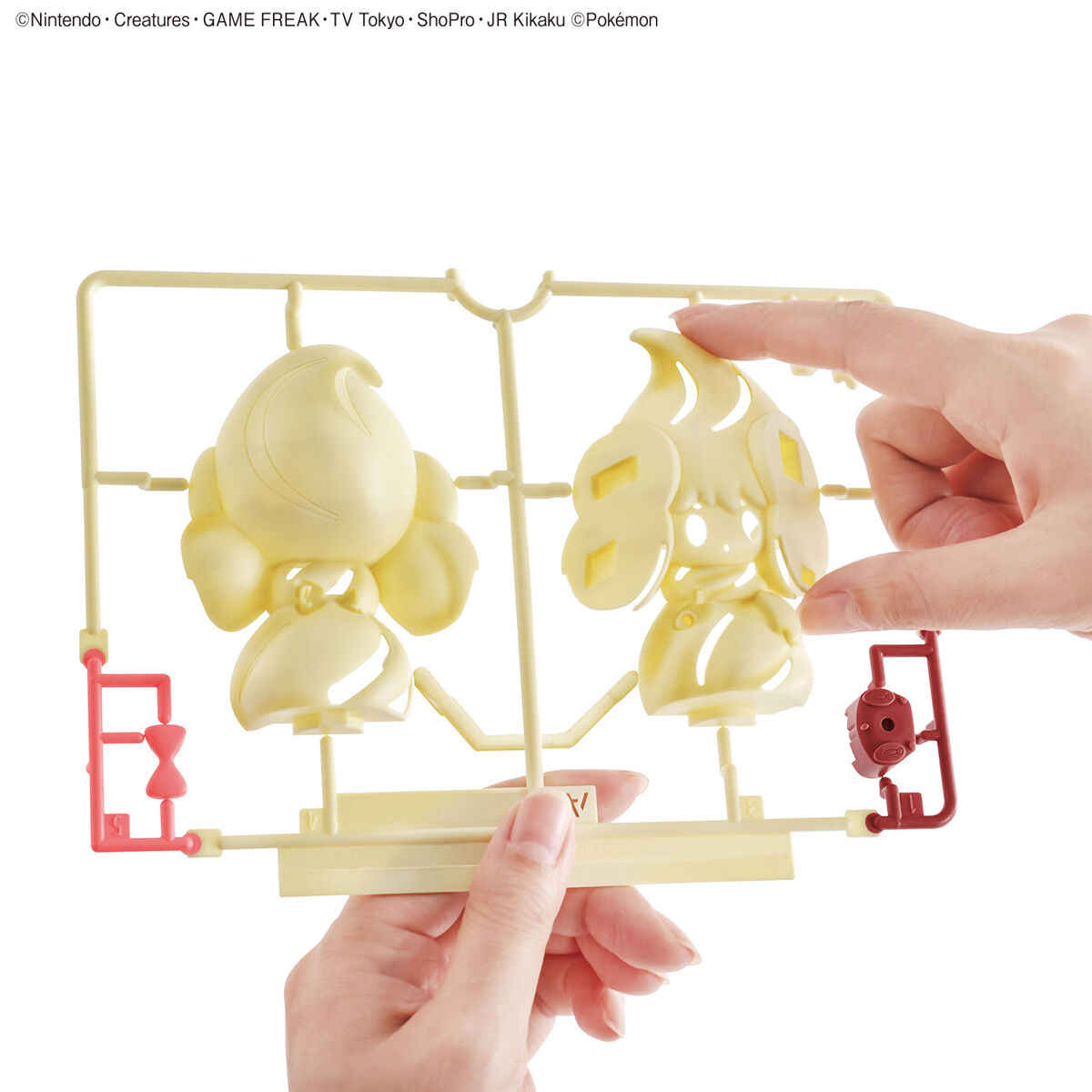 Genuine Bandai Pokemon Figures - مراجعة Model Kit Manual وسعره