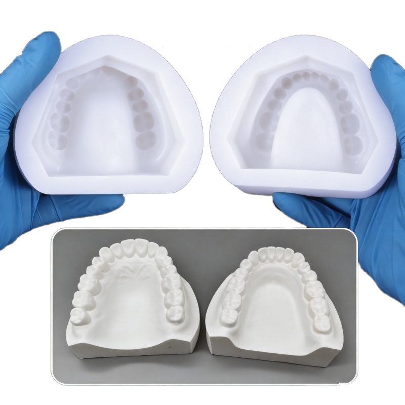 2pcs/set Silicone Dental Plast - مراجعة Model Kit Tools وسعره