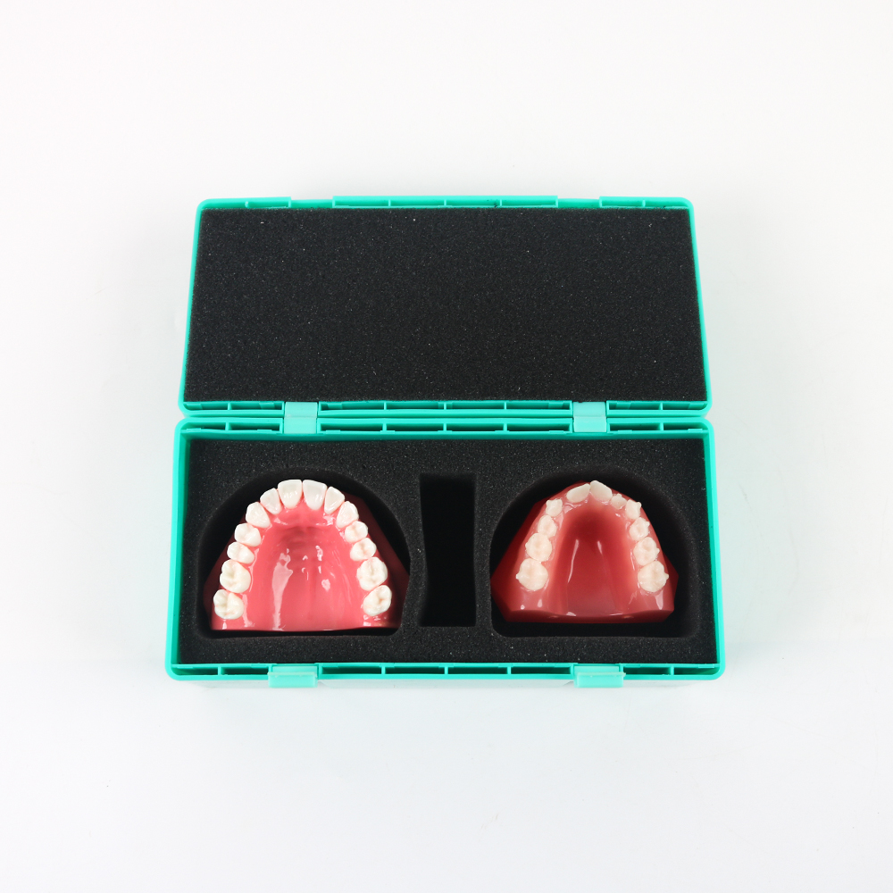 10pcs Custom Manual Dental Kit - مراجعة Model Kit Manual وسعره